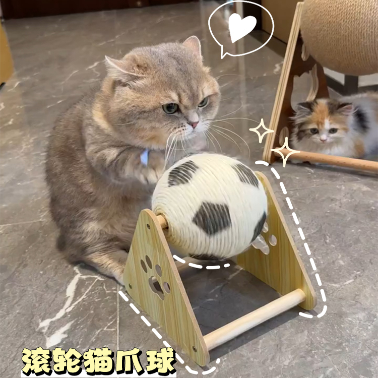 毛孩子真的爱上这个球了