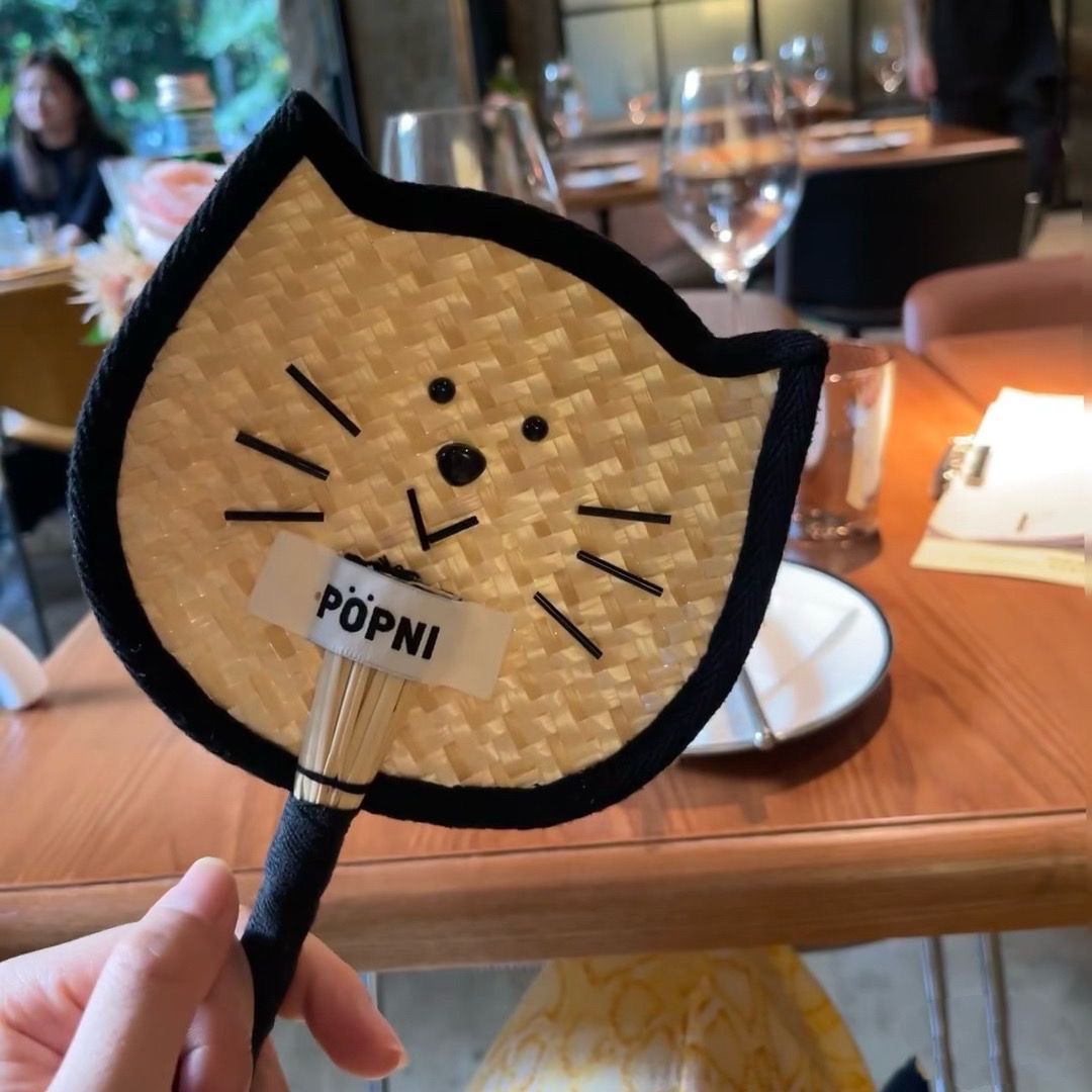 小猫蒲扇过夏天，尊嘟好喜欢