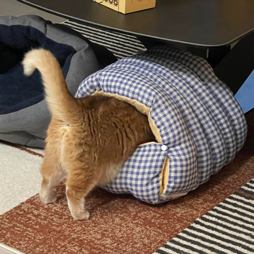 猫窝秋冬季保暖封闭式可拆洗