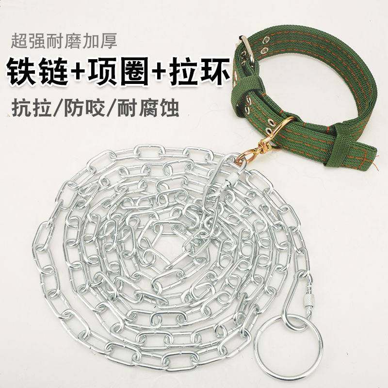 防咬狗狗牵引绳加长5米拴狗链条狗链子狗项圈铁链狗狗牵引绳狗绳