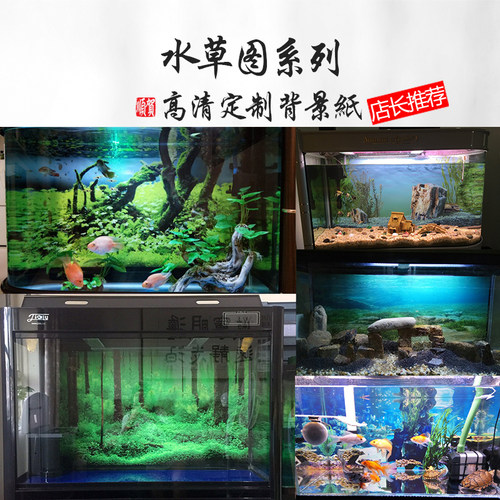 鱼缸龙鱼背景价格 鱼缸龙鱼背景图片 星期三