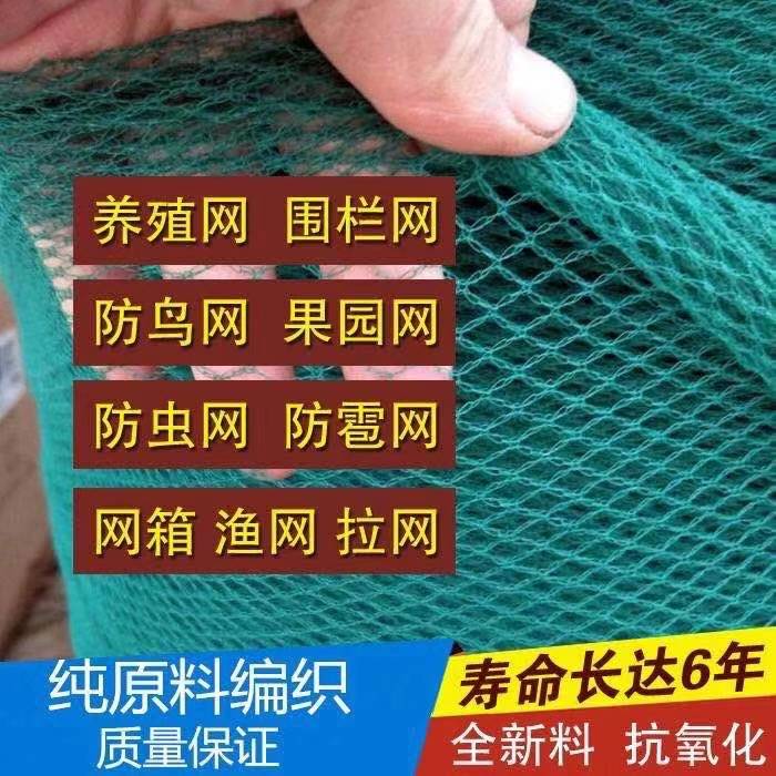 果园围栏防鸟网养鸡网养殖网樱桃树网塑料网果树防鸟网核桃网