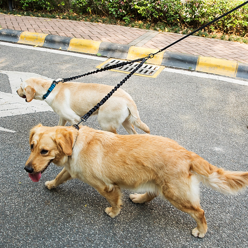 一拖二牵引绳狗狗双头遛狗两只宠物泰迪小型犬自动伸缩大型犬狗绳(非品牌)