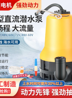 家用直流潜水泵小型船舱电瓶抽水