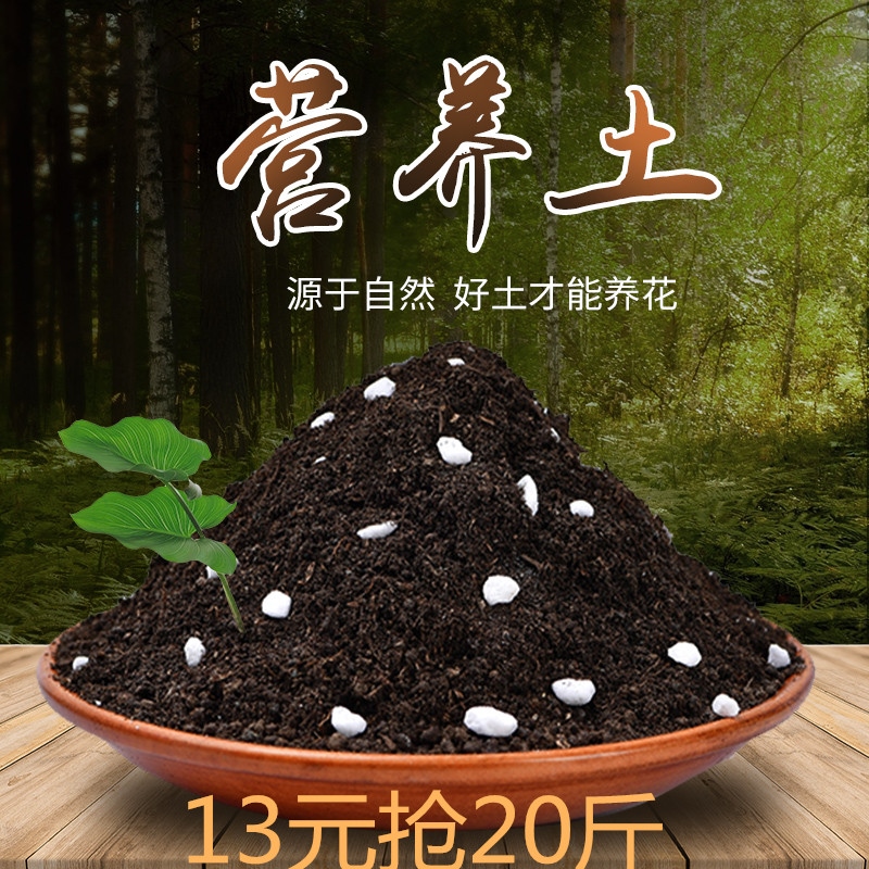 东北黑土盆栽用腐殖质土天然有机营养土花卉植物通用型腐叶花土壤在类目 鲜花速递/花卉仿真/绿植园艺, 园艺用品, 家庭园艺肥料/营养土/营养液中 - 来自Buy2taobao.com提供专业的淘宝代购服务