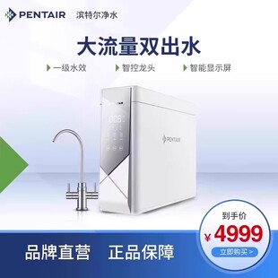 Pentair/滨特尔 家用双出水400G净水机反渗透厨房纯水机V4000-a