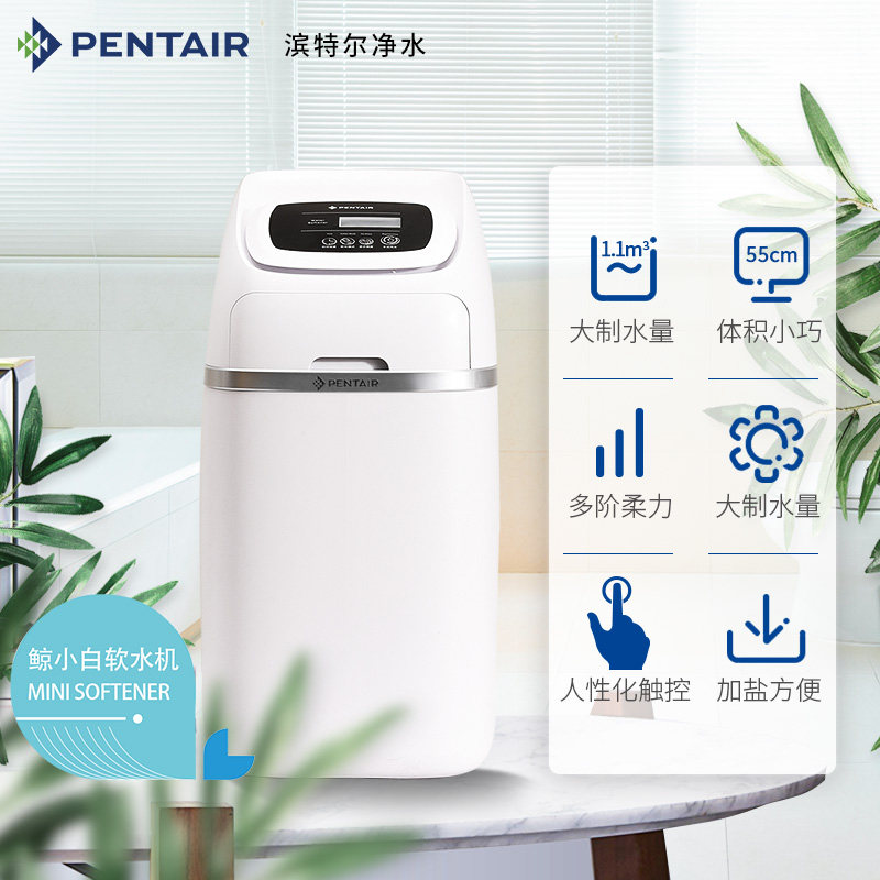 Pentair/滨特尔全屋净水器家用别墅高端设备大流量中央净水软水机