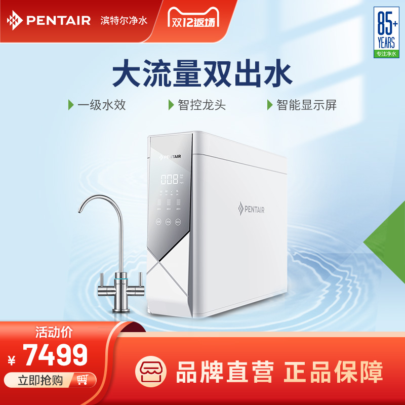 pentair/滨特尔 家用双出水400g净水机反渗透厨房纯水机v3000-a