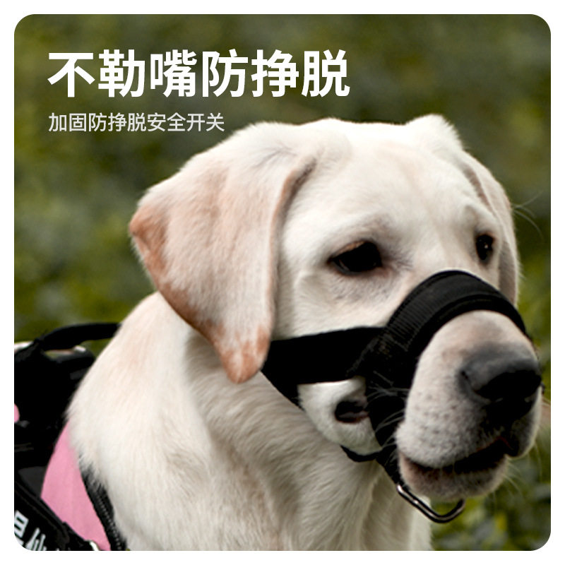 宠物嘴套宠物口罩金毛狗防咬防叫狗嘴套大小型犬狗狗嘴罩怎么样,好用不?