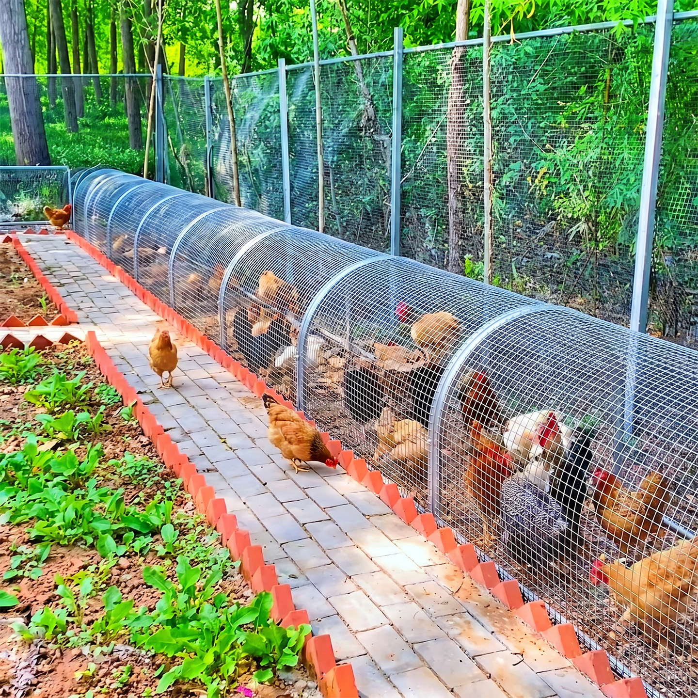 菜园跑道走地鸡笼子家用室外特大号防黄鼠狼密网防雨农村养殖笼