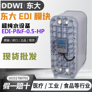 现货 水处理设备专用EDI模块0.5吨 正品 原装 东大EDI模块0.5T