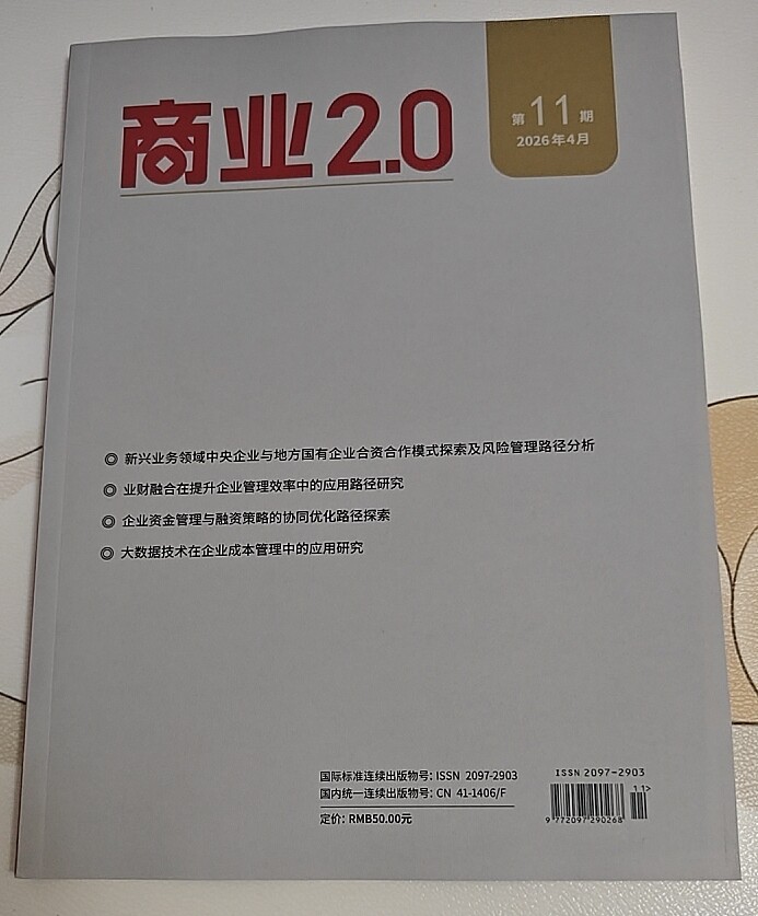 《商业2.0》省级知网普刊论文投稿经济市场文章发表评职称企业运营财会人力资源会计师经济师学术期刊推荐刊物订阅 - 实物图