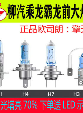 柳汽乘龙H5H7M3霸龙远光近光灯泡