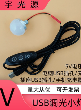 5VLED小灯泡USB小夜灯手工灯笼模型宿舍护眼台灯充电宝带调光开关