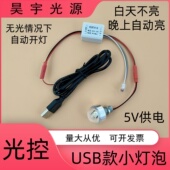 纯光控5VUSBLED灯泡晚上自动亮灯笼灯过道走廊智能插电感应小夜灯