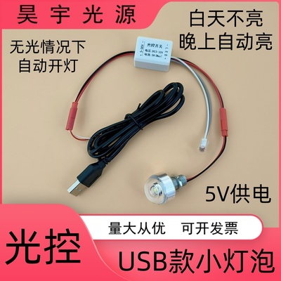 纯光控5VUSBLED灯泡灯笼灯小夜灯