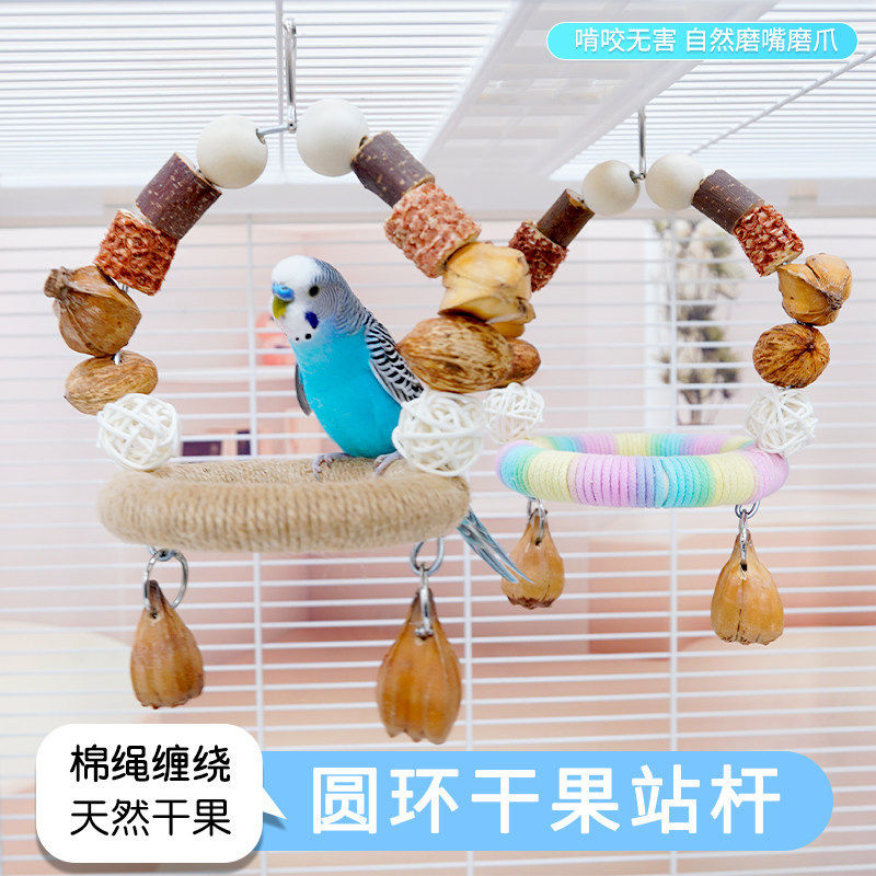 鹦鹉秋千站杆干果玩具解闷自嗨站架虎皮牡丹玄凤小太阳啃咬站棒ZR