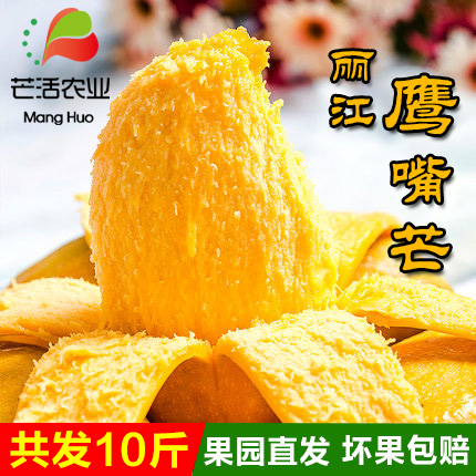 云南丽江华坪鹰嘴芒果新鲜水果非台湾攀枝花芒果普通装10斤包邮|msdalam kategori daging perikanan/Buah-buahan segar dan sayur-sayuran/dimasak, buah-buahan segar, Mango - dari Buy2taobao.com untuk memberikan perkhidmatan ejen Taobao profesional membeli