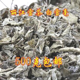 丽江雪茶 白雪毫茶 雪山白露茶 苦甘露 古茶苍山雪 古藤茶养生茶