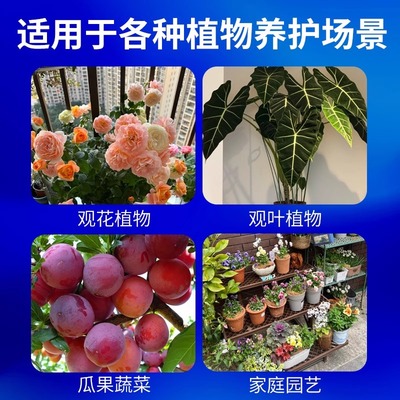 物再生剂浓缩营养液绿植物通用