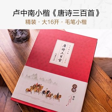 唐诗宋词三百首钢笔练字帖卢中南毛笔小楷手写体唐宋三百首钢笔练字本成人初学者速成漂亮硬笔练习本楷书