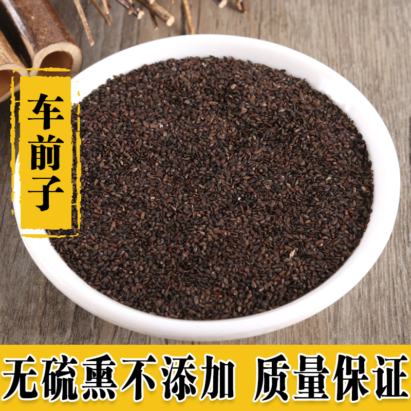 中药材正品优质 车前子 车前子茶正品 野生 500克包邮