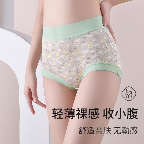 莫代尔抗菌蚕丝高腰大码三角裤头