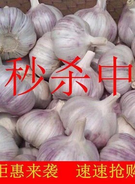 农家新干蒜大蒜头5斤干大蒜紫白皮大蒜200g起紫白皮干蒜晒干蒜头