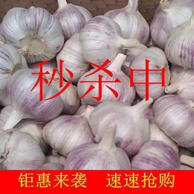 农家新鲜5斤大蒜头干大蒜紫白皮大蒜200g起薄皮干蒜晒干大瓣蒜头