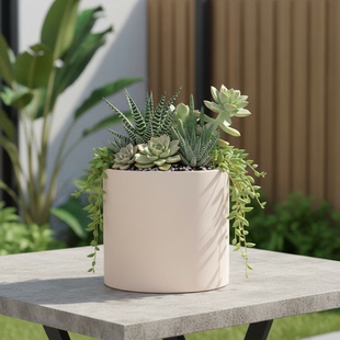 红陶多肉花盆素烧花盆北欧ins圆柱形透气透水多肉绿萝鲜花盆栽