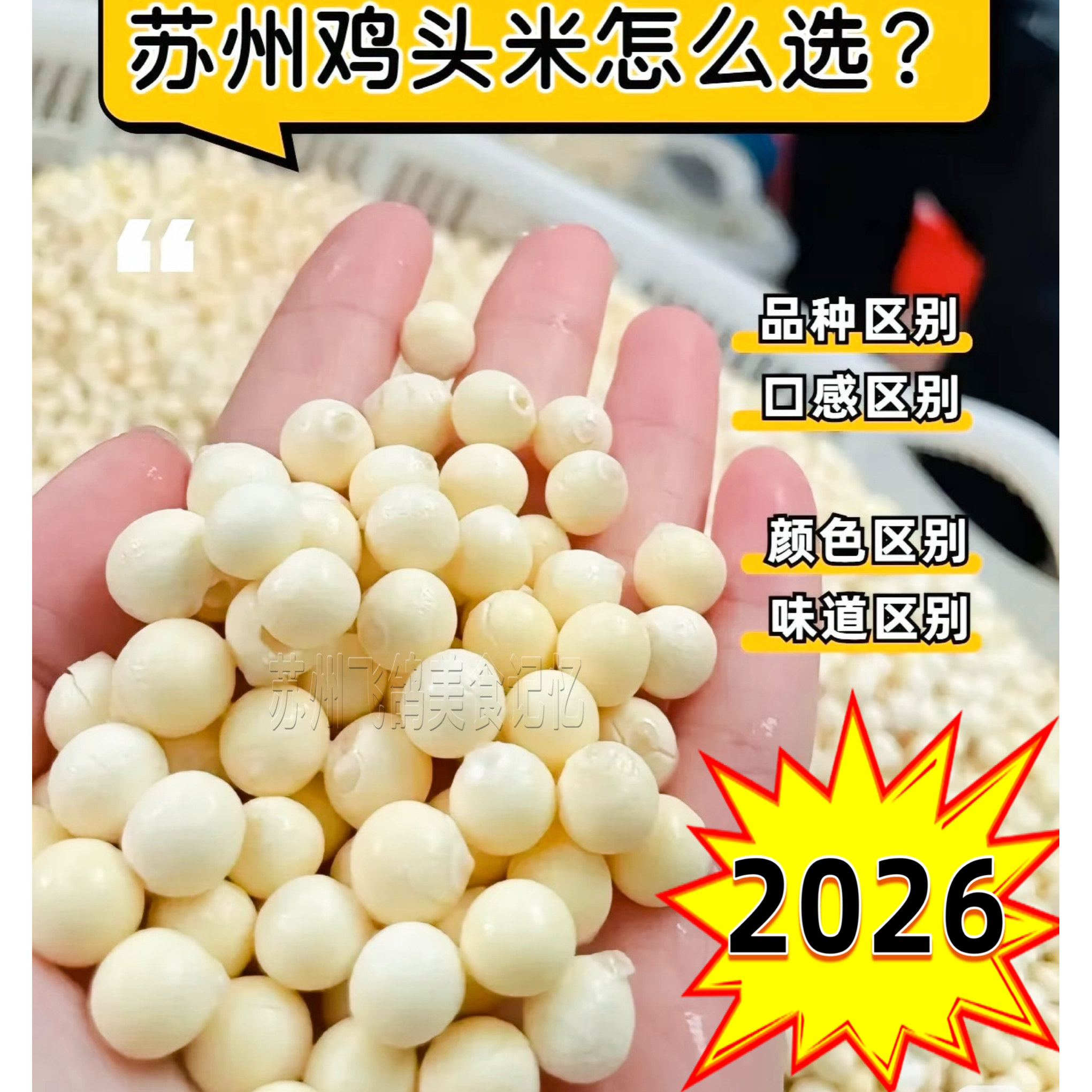 2026苏州新鲜鸡头米手剥芡实新鲜冰冻芡实特产鸡头米鲜米上市