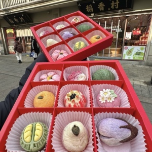 苏州稻香村糕点手作伴手礼