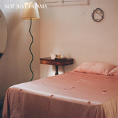 Pajama Not Just 22姆米真丝床品四件套100%桑蚕丝床单纯色床笠