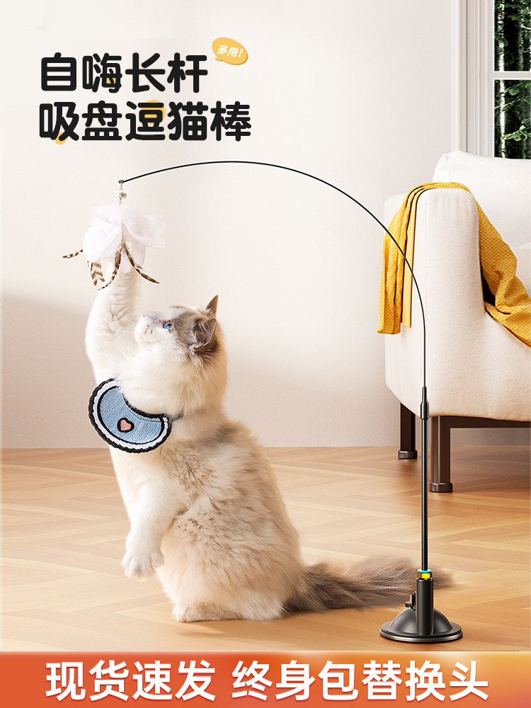 Игрушки для кошек, забавные палочки для кошек, самоделки, артефакт от скуки, длинный шест с присоской, принадлежности для домашних животных и котят, чтобы играть с Daquan Изображение 1