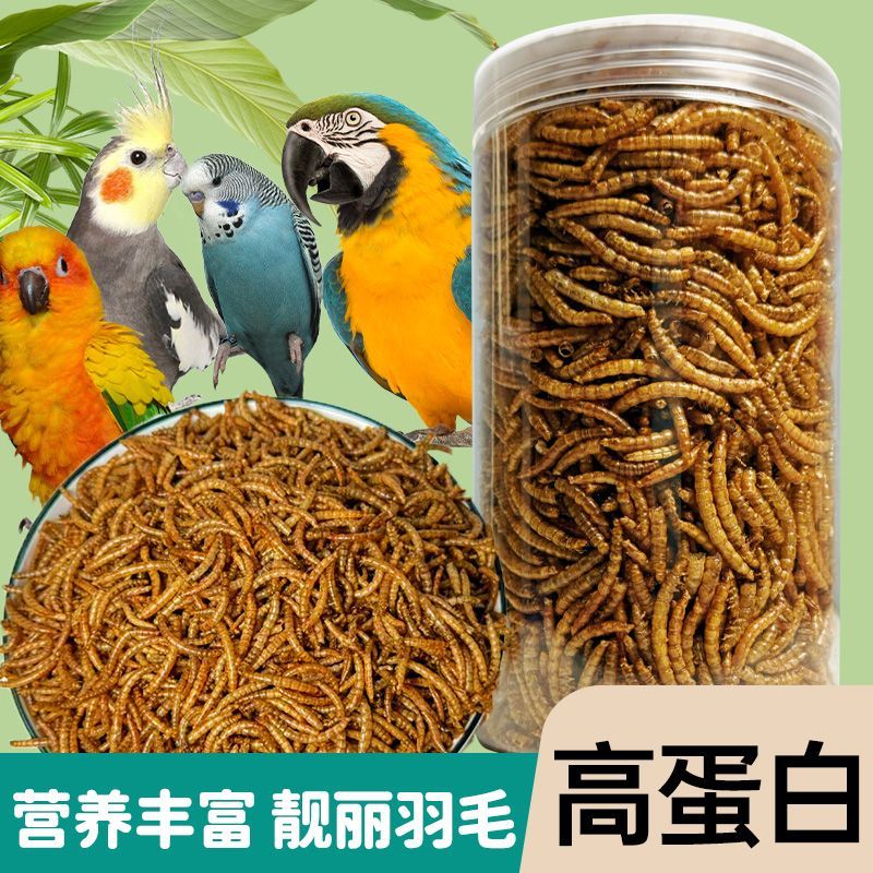 面包虫干鸟食鹦鹉食用虫黄粉虫鸟粮芦丁鸡乌龟仓鼠八哥饲料粮食