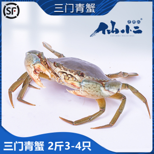 三门青蟹特大超大鲜活红母膏蟹 非黄油蟹 公蟹红鲟蟹 海鲜螃蟹2斤
