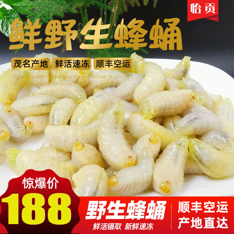 新鲜马蜂蛹 鲜活蜂蛹野生现采活体速冻500g黄蜂蛹肉可泡酒油炸