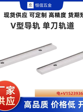 BVGTNL1 2 3  BVGTNSL1 2 3 V型导轨 90°型 单刃轨道 重型滑轨