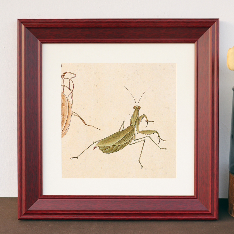 阳科画框实木简约相框