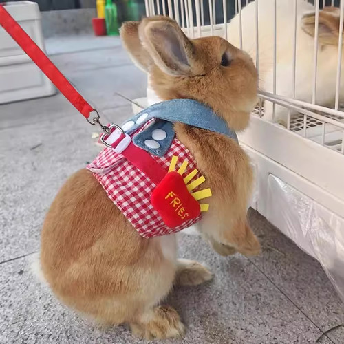 兔子牵引绳卖萌可爱兔兔衣服胸背