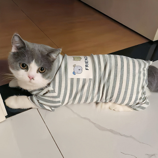 猫咪衣服秋季四脚家居睡衣防掉毛加菲猫蓝猫小型犬家居服狗狗服饰