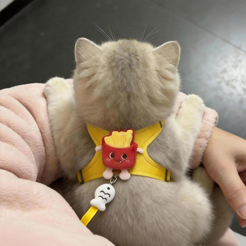 夏季防挣脱薯条猫咪胸背牵引绳