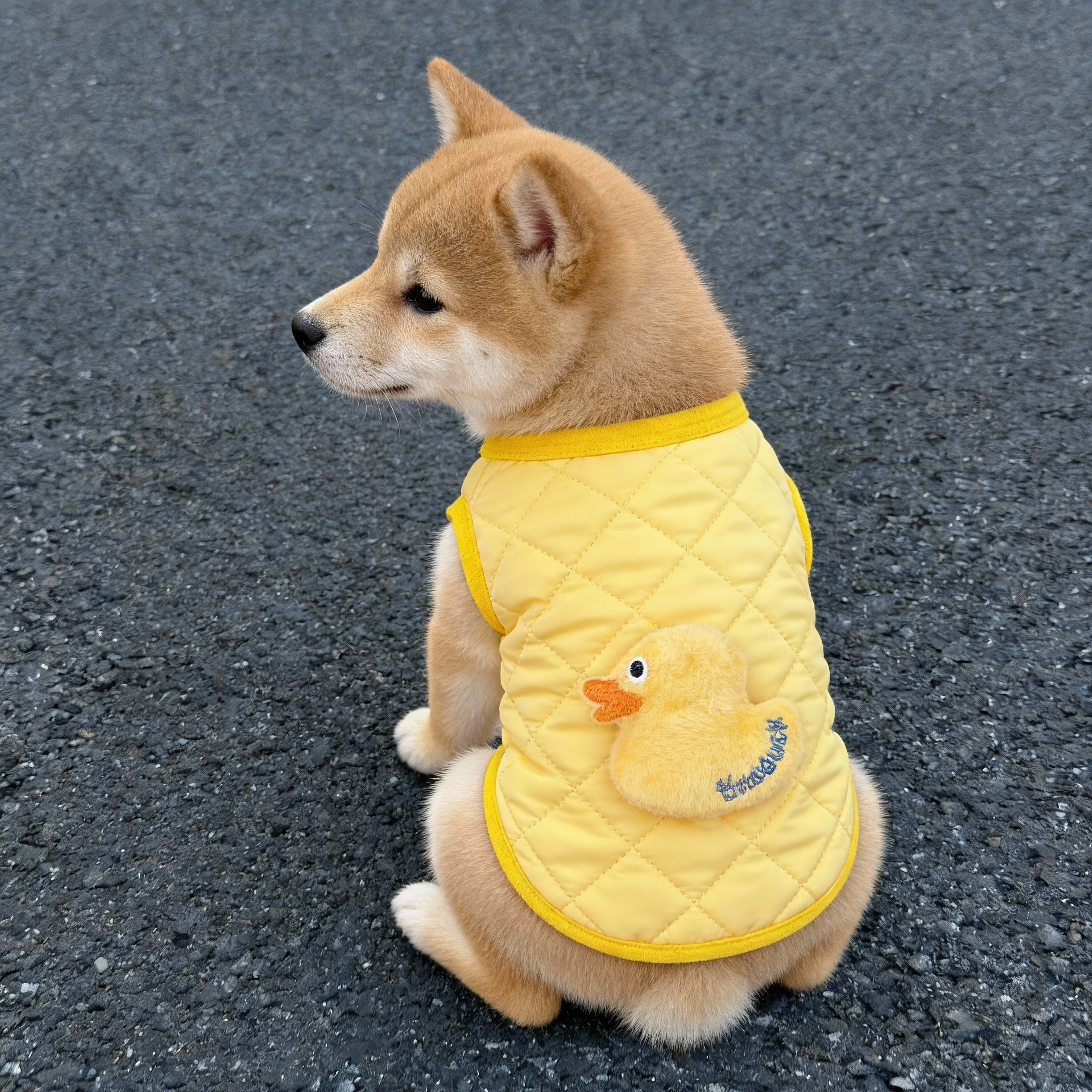 小狗衣服幼猫幼犬秋冬保暖背心