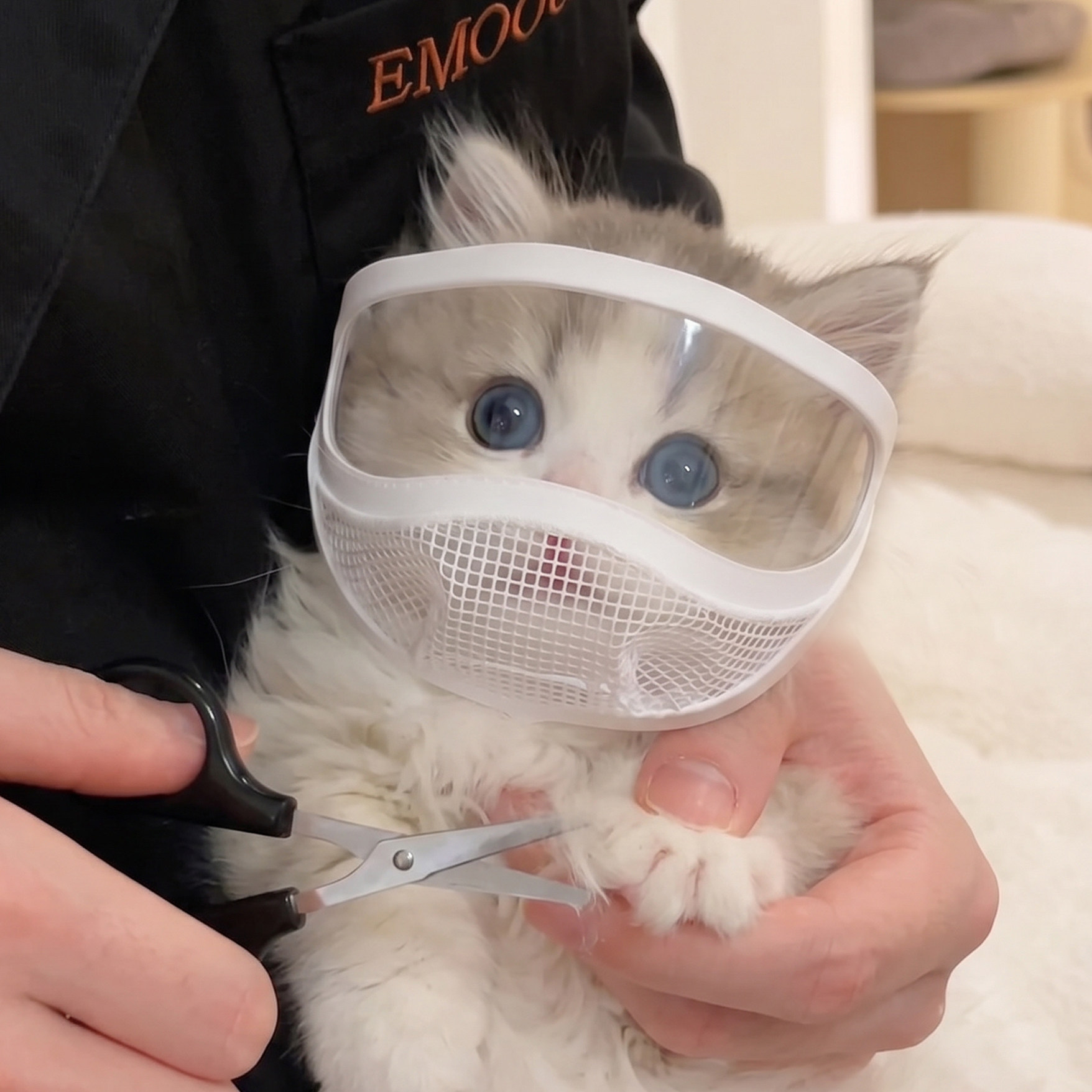 猫咪面罩剪指甲绝育防咬防舔宠物嘴套洗澡工具头套可调节眼罩透明