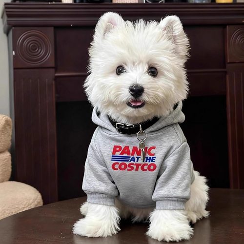 狗狗衣服秋季新款字母连帽卫衣