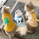 秋冬猫咪衣服尾巴可爱背心保暖金渐层布偶小型犬比熊泰迪狗狗衣服