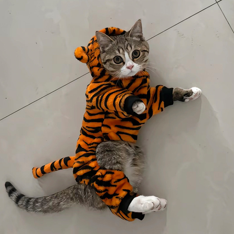 猫咪衣服老虎变身装秋冬款小型犬