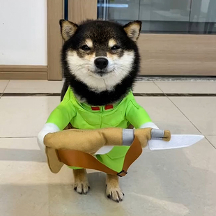 网红同款狗狗搞笑衣服八嘎装柴犬柯基泰迪中小型变身装宠物搞怪装