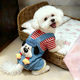 狗狗衣服秋冬可爱条纹小狗四脚衣比熊博美猫咪可牵引宠物保暖衣服