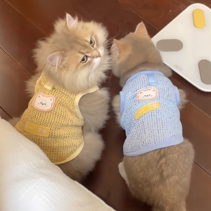 猫咪衣服夏季透气薄款镂空背心防掉毛狗狗衣服可牵引网纱宠物服饰